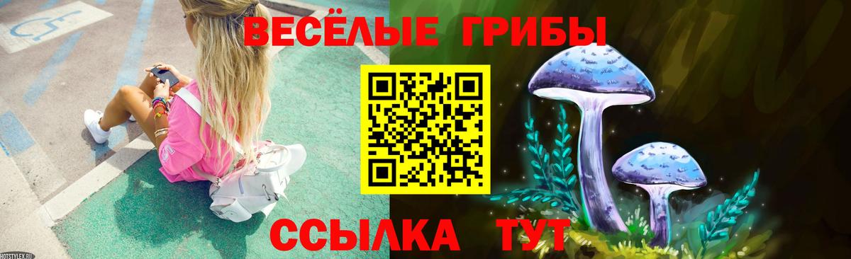 Орехово-Зуево  Псилоцибиновые грибы ЛСД  Вход с VPN 